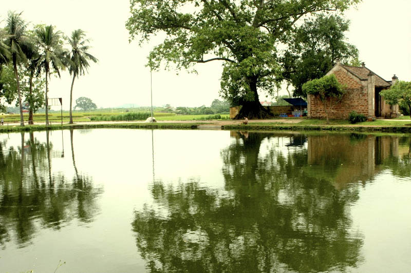 bán đất bình chánh, bán đất hóc môn, phúc thịnh residence